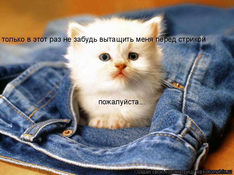только в этот раз не забудь вытащить меня перед стрикой пожалуйста...... Котоматрица: только в этот раз не забудь вытащить меня перед стрикой пожалуйста...
