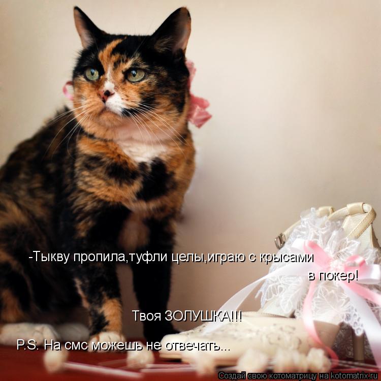 -Тыкву пропила,туфли целы,играю с крысами в покер! Твоя ЗОЛУШКА!!! P.S. На смс можешь не отвечать.... Котоматрица: -Тыкву пропила,туфли целы,играю с крысами в покер! Твоя ЗОЛУШКА!!! P.S. На смс можешь не отвечать...