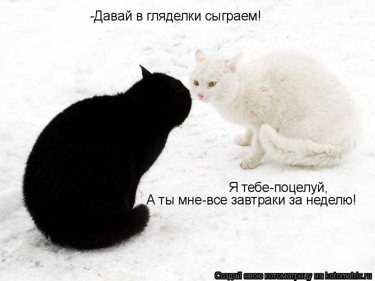 Котоматрица: -Давай в гляделки сыграем! Я тебе-поцелуй, А ты мне-все завтраки за неделю!