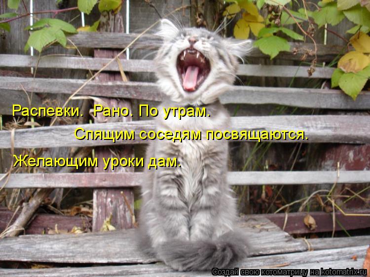 Распевки. Рано. По утрам. Спящим соседям посвящаются. Желающим уроки дам.... Котоматрица: Распевки. Рано. По утрам. Спящим соседям посвящаются. Желающим уроки дам.