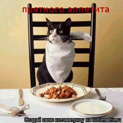 Котоматрица: прятного аппетита