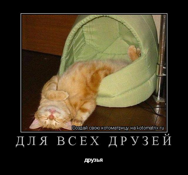Для всех друзей друзья... Котоматрица: Для всех друзей друзья