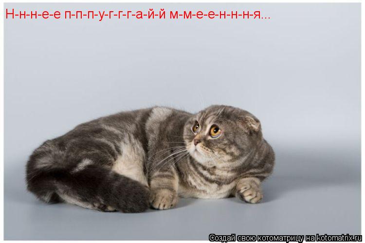 Н-н-н-е-е п-п-п-у-г-г-г-а-й-й м-м-е-е-н-н-н-я...... Котоматрица: Н-н-н-е-е п-п-п-у-г-г-г-а-й-й м-м-е-е-н-н-н-я...
