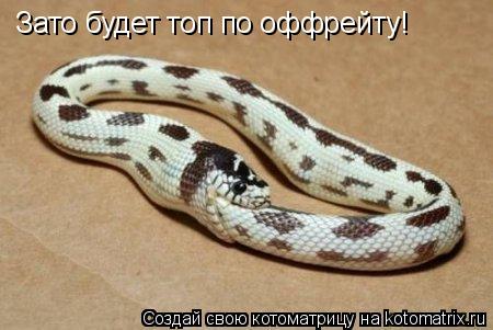 Зато будет топ по оффрейту!... Котоматрица: Зато будет топ по оффрейту!