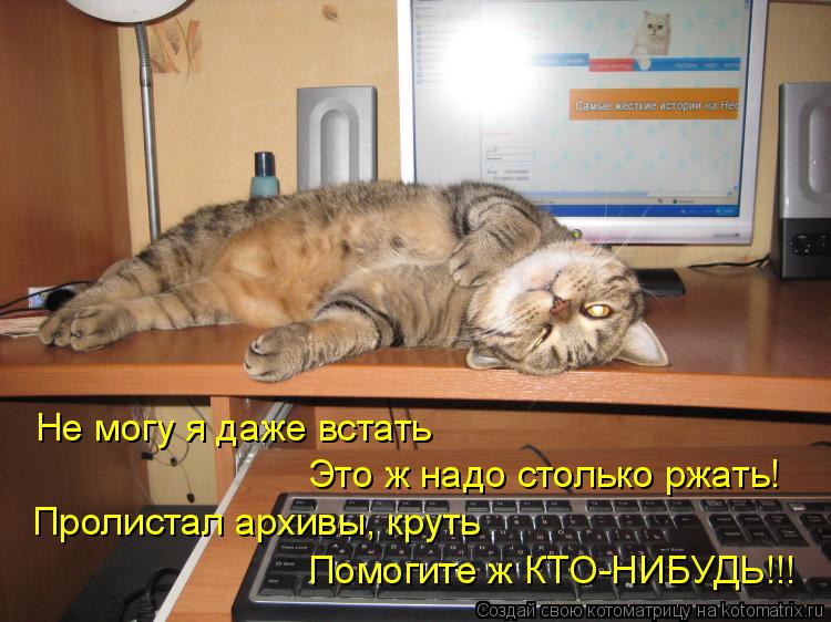 Котоматрица: Не могу я даже встать  Это ж надо столько ржать!  Пролистал архивы, круть  Помогите ж КТО-НИБУДЬ!!!