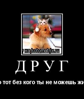 друг это тот без кого ты не можешь жить... Котоматрица: друг это тот без кого ты не можешь жить