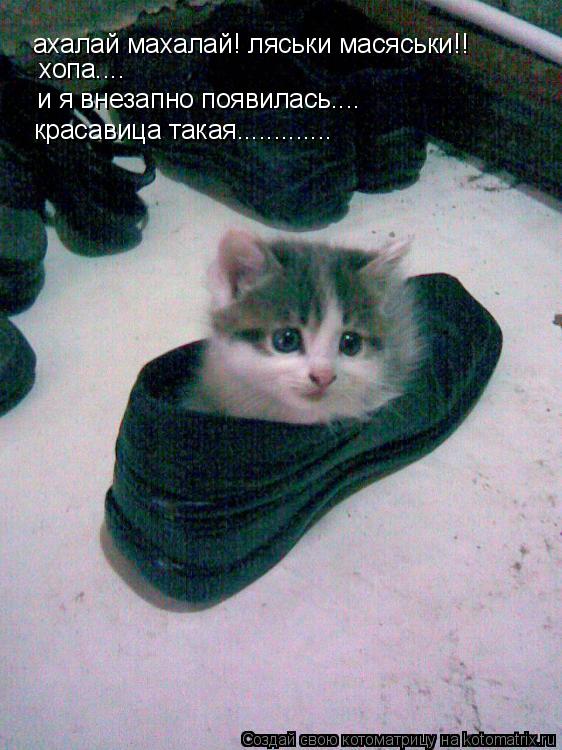 Котоматрица: ахалай махалай! ляськи масяськи!! хопа.... и я внезапно появилась.... красавица такая.............