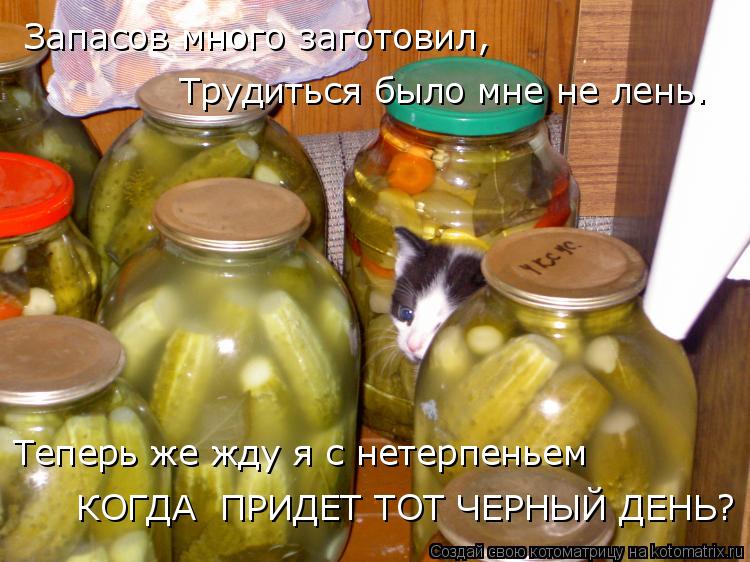 Запасов много заготовил, Трудиться было мне не лень. Теперь же жду я с нетерпеньем КОГДА ПРИДЕТ Т... Котоматрица: Запасов много заготовил, Трудиться было мне не лень. Теперь же жду я с нетерпеньем КОГДА ПРИДЕТ ТОТ ЧЕРНЫЙ ДЕНЬ?