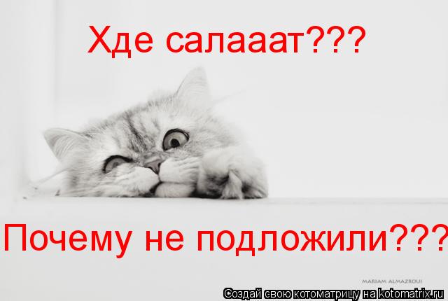 Хде салааат??? Почему не подложили???... Котоматрица: Хде салааат??? Почему не подложили???