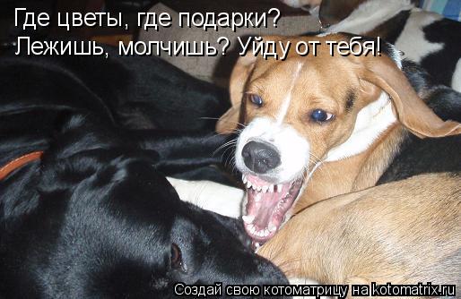 Где цветы, где подарки? Лежишь, молчишь? Уйду от тебя!... Котоматрица: Где цветы, где подарки? Лежишь, молчишь? Уйду от тебя!