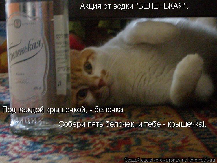 Акция от водки "БЕЛЕНЬКАЯ". Под каждой крышечкой, - белочка. Собери пять белочек, и тебе - крышечка!.... Котоматрица: Акция от водки "БЕЛЕНЬКАЯ". Под каждой крышечкой, - белочка. Собери пять белочек, и тебе - крышечка!..