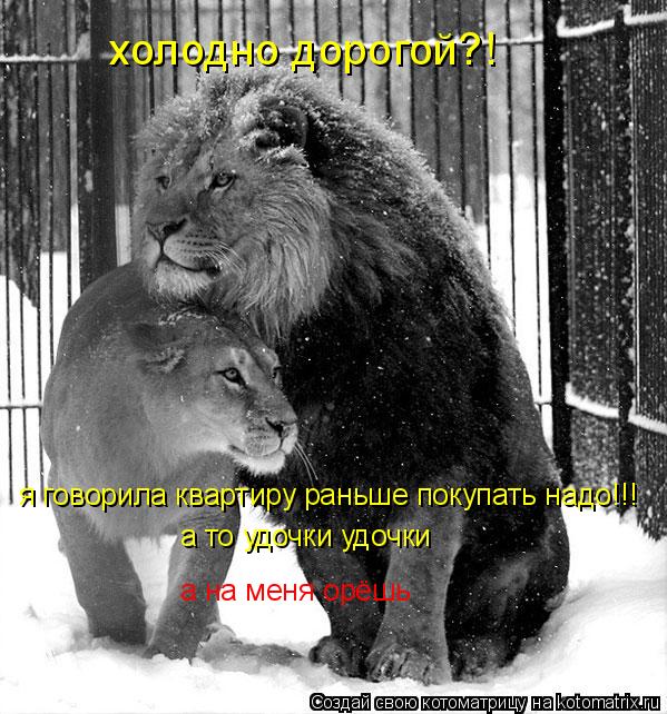 холодно дорогой?! я говорила квартиру раньше покупать надо!!! а то удочки удочки а на меня орёшь... Котоматрица: холодно дорогой?! я говорила квартиру раньше покупать надо!!! а то удочки удочки а на меня орёшь