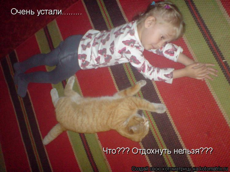 Котоматрица: Очень устали......... Что??? Отдохнуть нельзя???