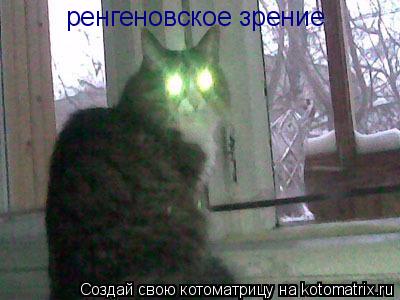 Котоматрица: ренгеновское зрение