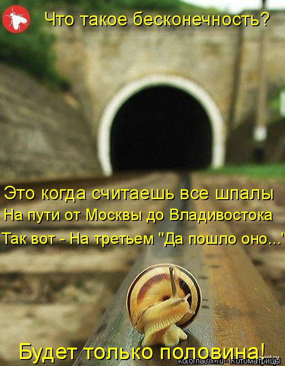 Что такое бесконечность? Это когда считаешь все шпалы На пути от Москвы до Владивостока Так вот - На ... Котоматрица: Что такое бесконечность? Это когда считаешь все шпалы На пути от Москвы до Владивостока Так вот - На третьем "Да пошло оно..." Будет только пол