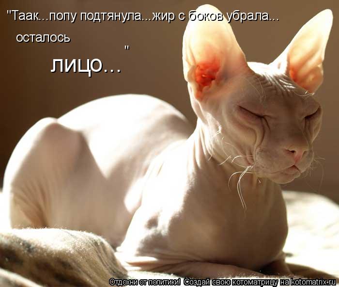 "Таак...попу подтянула...жир с боков убрала... осталось ли лицо... "... Котоматрица: "Таак...попу подтянула...жир с боков убрала... осталось ли лицо... "