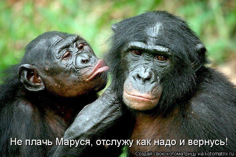 Не плачь Маруся, отслужу как надо и вернусь!... Котоматрица: Не плачь Маруся, отслужу как надо и вернусь!