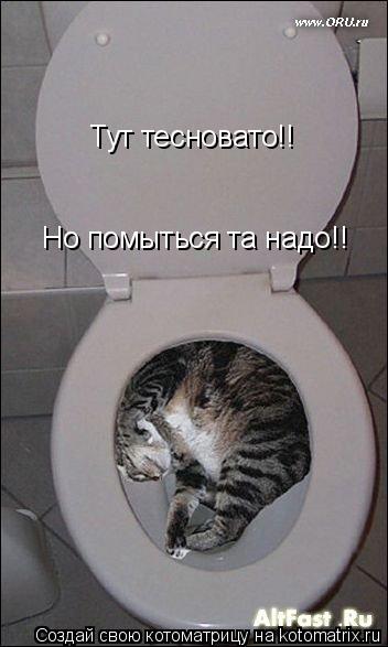 Тут тесновато!! Но помыться та надо!!... Котоматрица: Тут тесновато!! Но помыться та надо!!