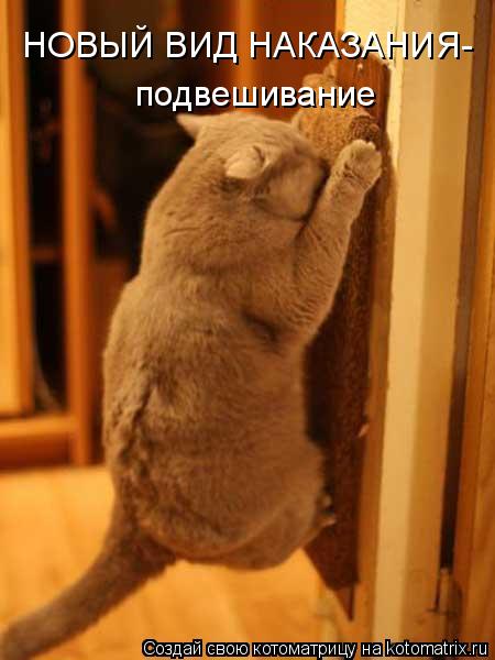 Котоматрица: НОВЫЙ ВИД НАКАЗАНИЯ- подвешивание