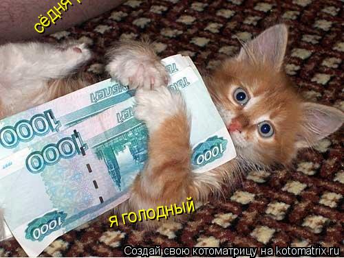 сёдня распродажа китикета я голодный... Котоматрица: сёдня распродажа китикета я голодный