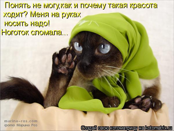 Понять не могу,как и почему такая красота ходитМеня на руках носить надо ходит? Меня на руках носить... Котоматрица: Понять не могу,как и почему такая красота ходитМеня на руках носить надо ходит? Меня на руках носить надо! Ноготок сломала...
