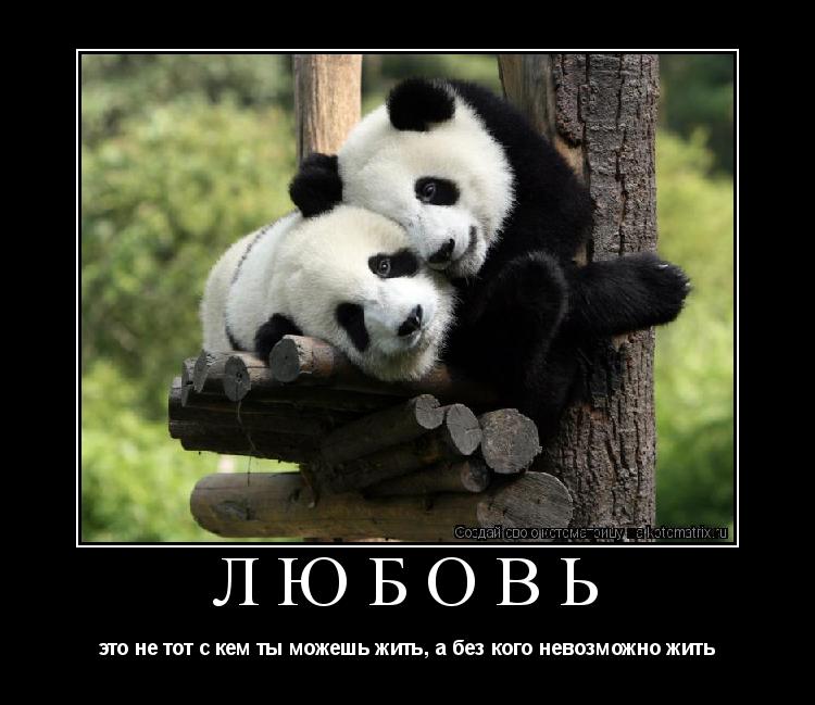 любовь это не тот с кем ты можешь жить, а без кого невозможно жить... Котоматрица: любовь это не тот с кем ты можешь жить, а без кого невозможно жить