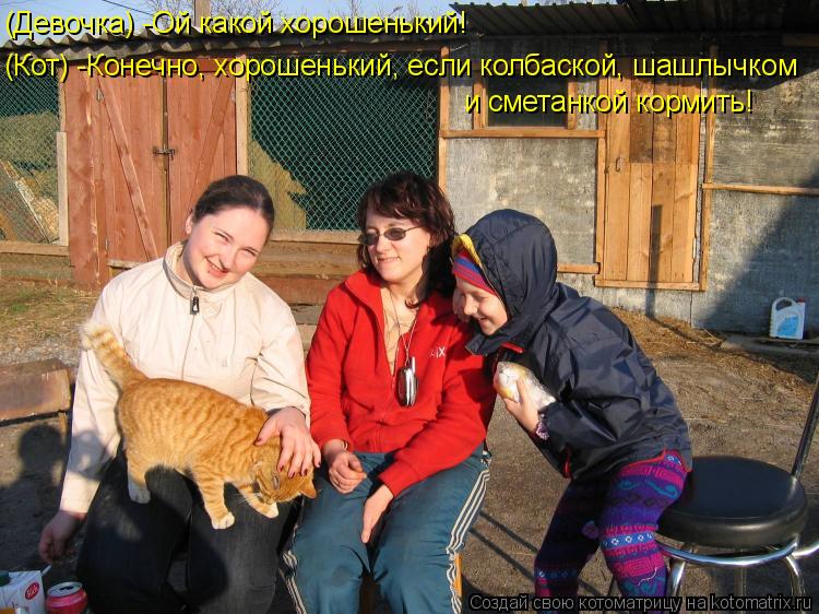 (Девочка) -Ой какой хорошенький! (Кот) -Конечно, хорошенький, если колбаской, шашлычком и сметанкой к... Котоматрица: (Девочка) -Ой какой хорошенький! (Кот) -Конечно, хорошенький, если колбаской, шашлычком и сметанкой кормить!
