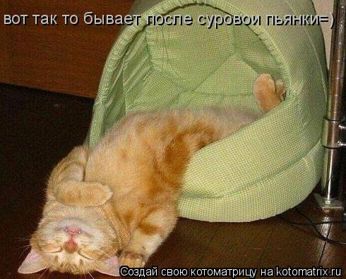 вот так то бывает после суровои пьянки=)... Котоматрица: вот так то бывает после суровои пьянки=)