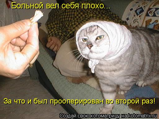 Больной вел себя плохо... За что и был прооперирован во второй раз!... Котоматрица: Больной вел себя плохо... За что и был прооперирован во второй раз!