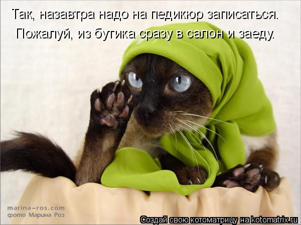 Так, назавтра надо на педикюр записаться. Пожалуй, из бутика сразу в салон и заеду.... Котоматрица: Так, назавтра надо на педикюр записаться. Пожалуй, из бутика сразу в салон и заеду.