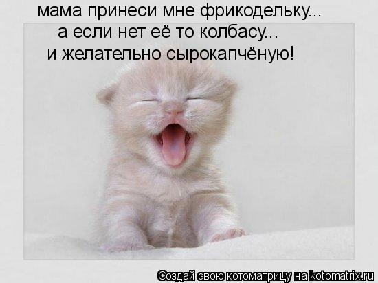 мама принеси мне фрикодельку... а если нет её то колбасу... и желательно сырокапчёную!... Котоматрица: мама принеси мне фрикодельку... а если нет её то колбасу... и желательно сырокапчёную!