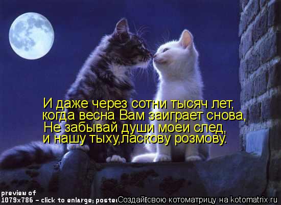 И даже через сотни тысяч лет, когда весна Вам заиграет снова, Не забывай души моеи след, и нашу тыху,... Котоматрица: И даже через сотни тысяч лет, когда весна Вам заиграет снова, Не забывай души моеи след, и нашу тыху,ласкову розмову.
