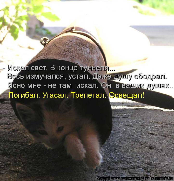 - Искал свет. В конце туннеля... Весь измучался, устал. Даже душу ободрал. Ясно мне - не там искал. ... Котоматрица: - Искал свет. В конце туннеля... Весь измучался, устал. Даже душу ободрал. Ясно мне - не там искал. Он в ваших душах... Погибал. Угасал. Трепетал.