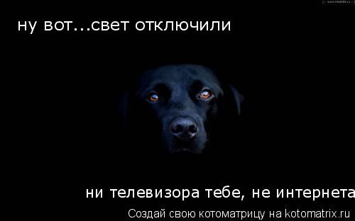 ни телевизора тебе, не интернета ну вот...свет отключили... Котоматрица: ни телевизора тебе, не интернета ну вот...свет отключили