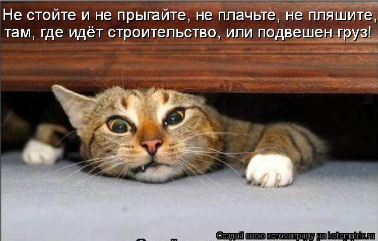 Не стойте и не прыгайте, не плачьте, не пляшите, там, где идёт строительство, или подвешен груз!... Котоматрица: Не стойте и не прыгайте, не плачьте, не пляшите, там, где идёт строительство, или подвешен груз!