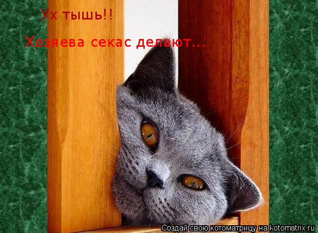 Ух тышь!! Хозяева секас делают...... Котоматрица: Ух тышь!! Хозяева секас делают...