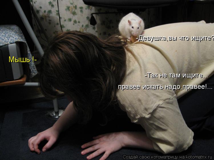 Котоматрица: -Девушка,вы что ищите? Мышь !- -Так не там ищите... правее искать надо,правее!...