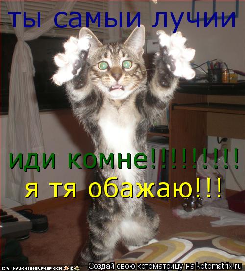 иди комне!!!!!!!!!!! я тя обажаю!!! ты самыи лучии !!!!!!!!!!!... Котоматрица: иди комне!!!!!!!!!!! я тя обажаю!!! ты самыи лучии !!!!!!!!!!!