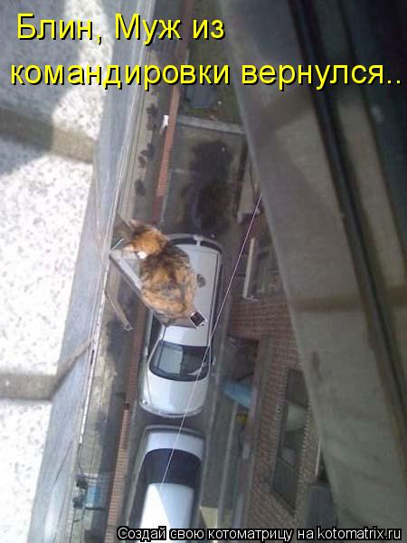 Блин, Муж из командировки вернулся...... Котоматрица: Блин, Муж из командировки вернулся...