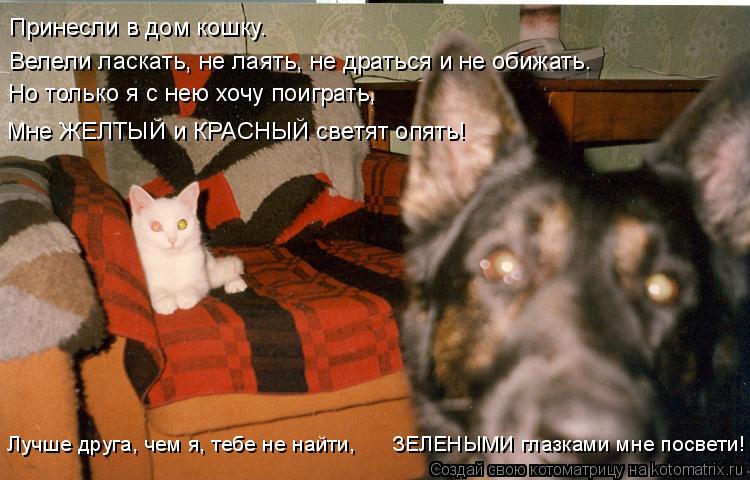 Принесли в дом кошку. Велели ласкать, не лаять, не драться и не обижать. Но только я с нею хочу поигр... Котоматрица: Принесли в дом кошку. Велели ласкать, не лаять, не драться и не обижать. Но только я с нею хочу поиграть, Мне ЖЕЛТЫЙ и КРАСНЫЙ светят опять! Лу
