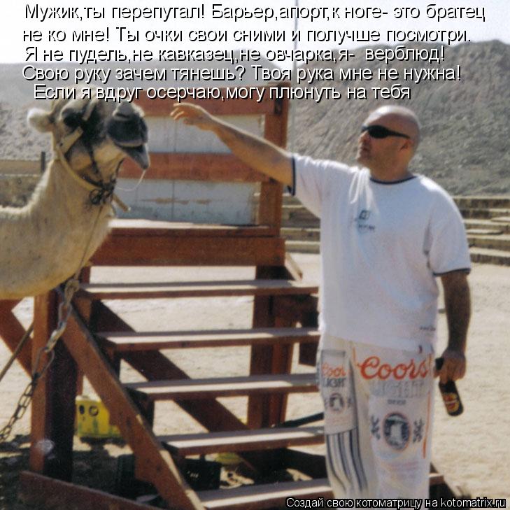 Мужик,ты перепутал! Барьер,апорт,к ноге- это братец не ко мне! Ты очки свои сними и получше посмотри.... Котоматрица: Мужик,ты перепутал! Барьер,апорт,к ноге- это братец не ко мне! Ты очки свои сними и получше посмотри. Я не пудель,не кавказец,не овчарка,я- вер