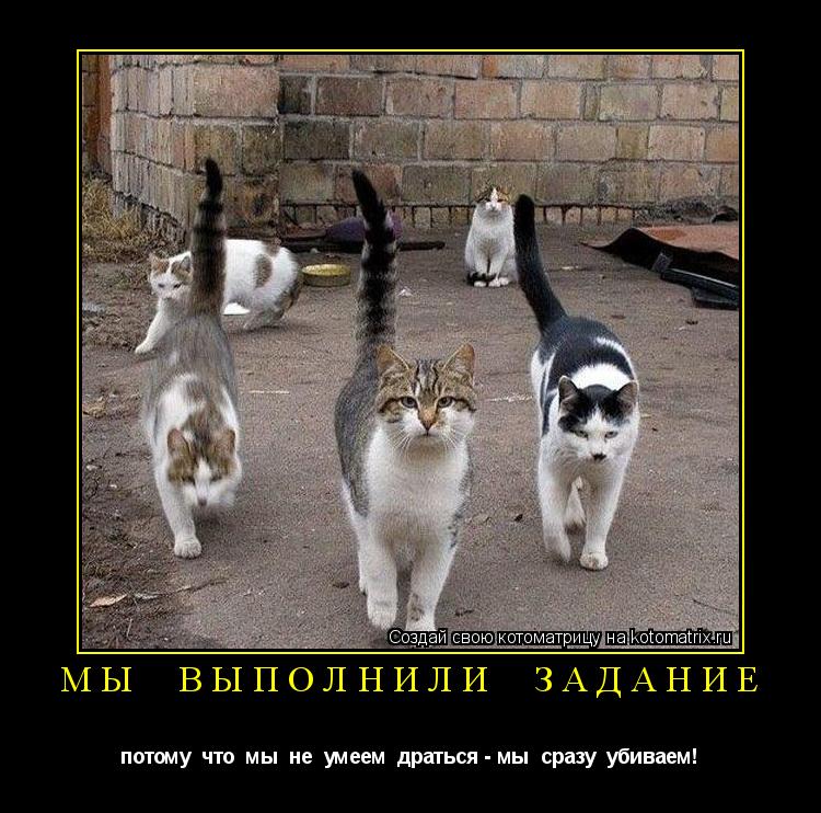 мы выполнили задание потому что мы не умеем драться - мы сразу убиваем!... Котоматрица: мы выполнили задание потому что мы не умеем драться - мы сразу убиваем!