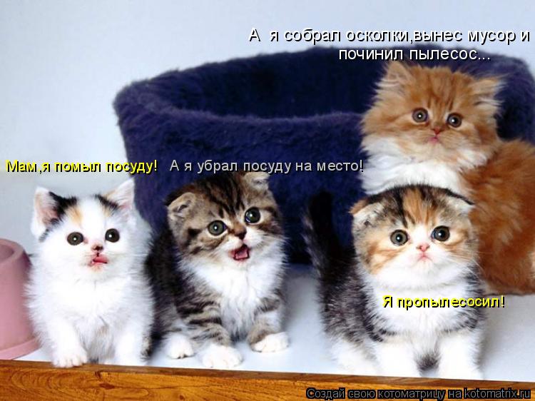 Я пропылесосил! Мам,я помыл посуду! починил пылесос... А я убрал посуду на место! А я собрал осколки... Котоматрица: Я пропылесосил! Мам,я помыл посуду! починил пылесос... А я убрал посуду на место! А я собрал осколки,вынес мусор и