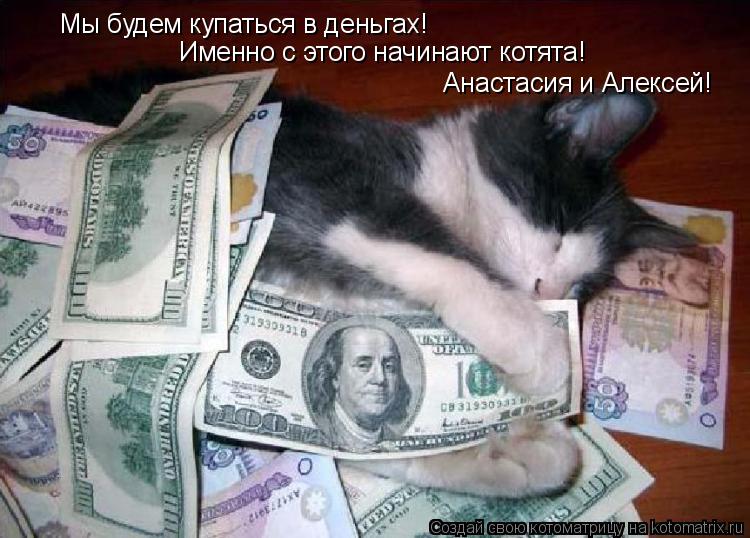 Котоматрица: Мы будем купаться в деньгах! Именно с этого начинают котята! Анастасия и Алексей!