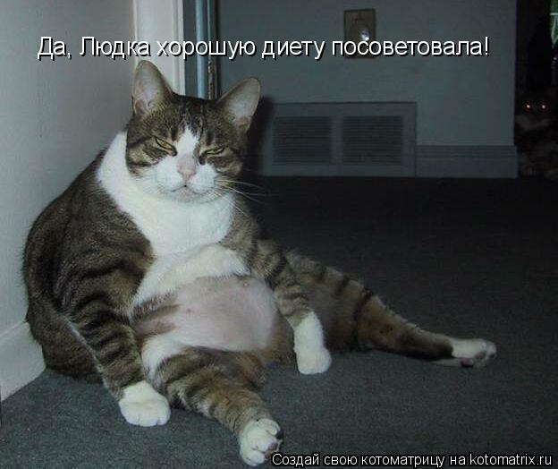 Да, Людка хорошую диету посоветовала!... Котоматрица: Да, Людка хорошую диету посоветовала!
