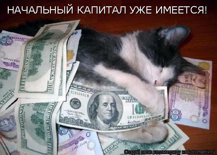 НАЧАЛЬНЫЙ КАПИТАЛ УЖЕ ИМЕЕТСЯ!... Котоматрица: НАЧАЛЬНЫЙ КАПИТАЛ УЖЕ ИМЕЕТСЯ!