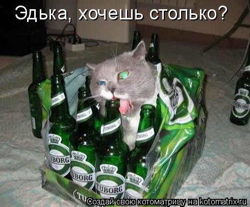 Эдька, хочешь столько?... Котоматрица: Эдька, хочешь столько?