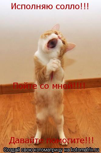 Исполняю солло!!! Давайте помогите!!! Пойте со мной!!!!... Котоматрица: Исполняю солло!!! Давайте помогите!!! Пойте со мной!!!!