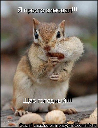 Я просто зимовал!!! Щас голодный!!!... Котоматрица: Я просто зимовал!!! Щас голодный!!!