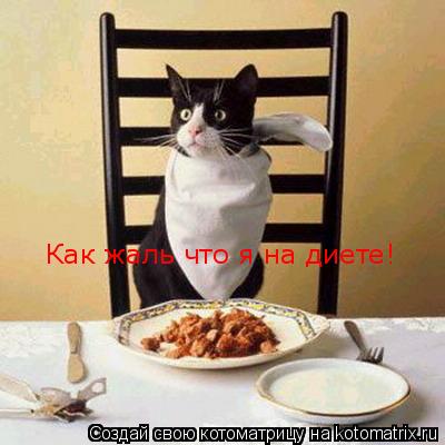Как жаль что я на диете!... Котоматрица: Как жаль что я на диете!